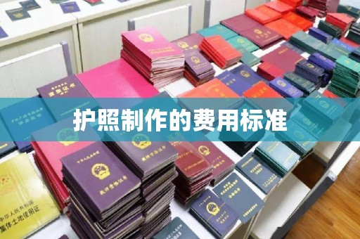 萨尔图护照制作的费用标准